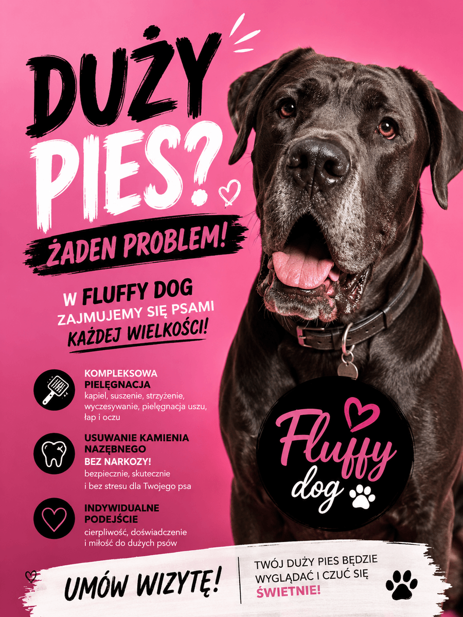 Fluffy Dog