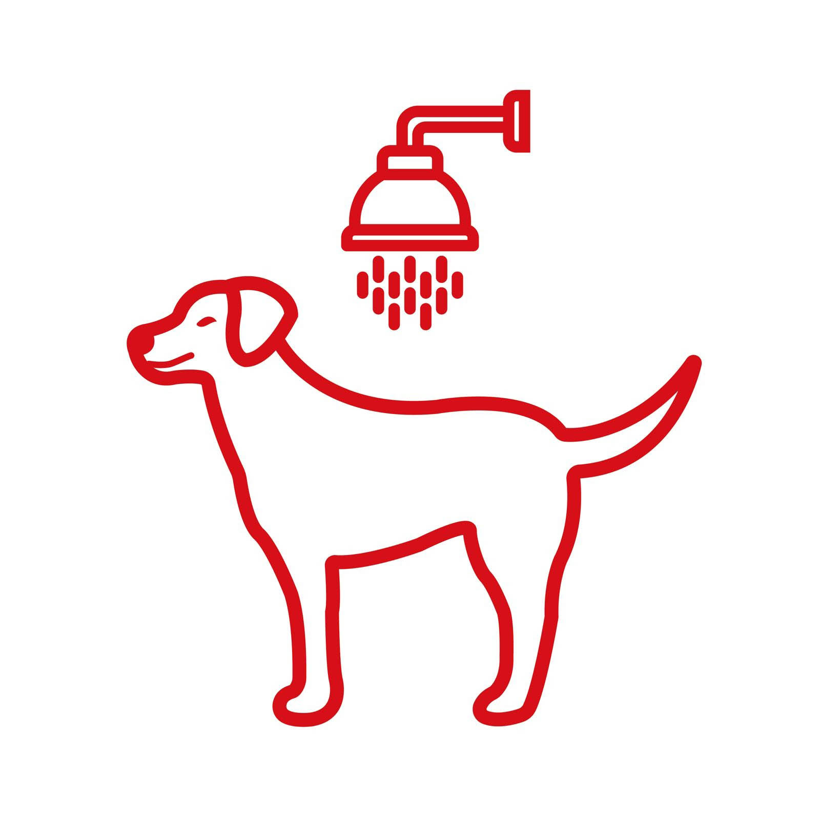 WashDog Express Ząbki